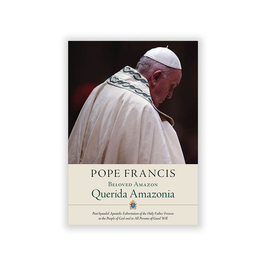 Apostolic exhortation on the Amazon region’s future.